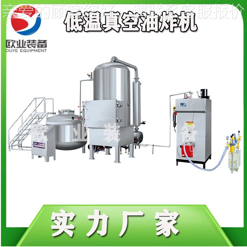 海炸产品低温OYVF-100空油炸设备 小龙虾真油 香酥机小黄鱼低温油