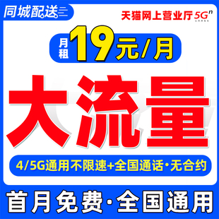 流量卡纯流量上网卡5g手机卡大流量卡无线限全国通用大王卡电话卡