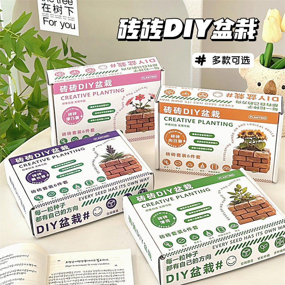 工厂价趣味创意礼物盆栽植物盲盒