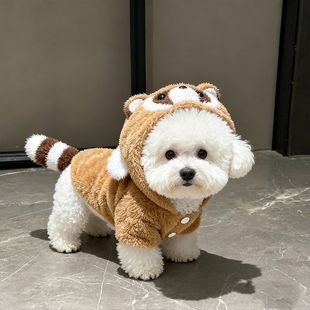 狗狗衣服秋冬款毛绒浣熊带帽搞怪小卫衣宠物小狗幼犬猫咪衣服冬天
