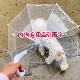 宠物专用狗狗雨伞下雨遛狗神器柯基雨衣狗用雨伞透明泰迪中小型犬
