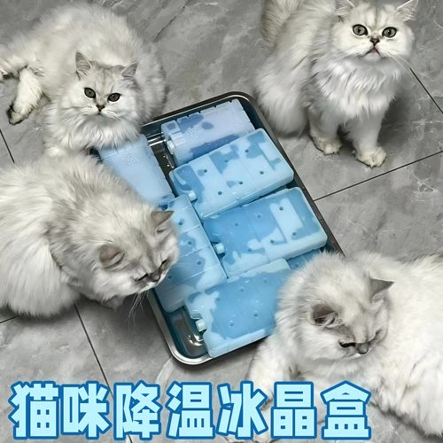 宠物降温神器可反复使用冰盒