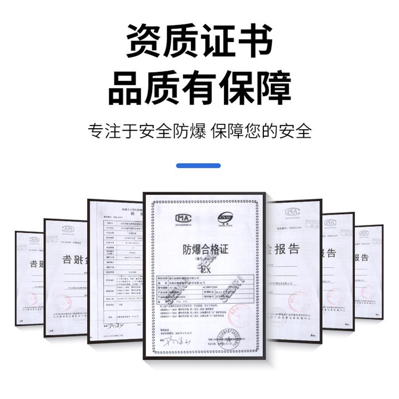 防爆断路器2P防爆空气开关DLK52-3P 10A-63A一体式防爆开关空开