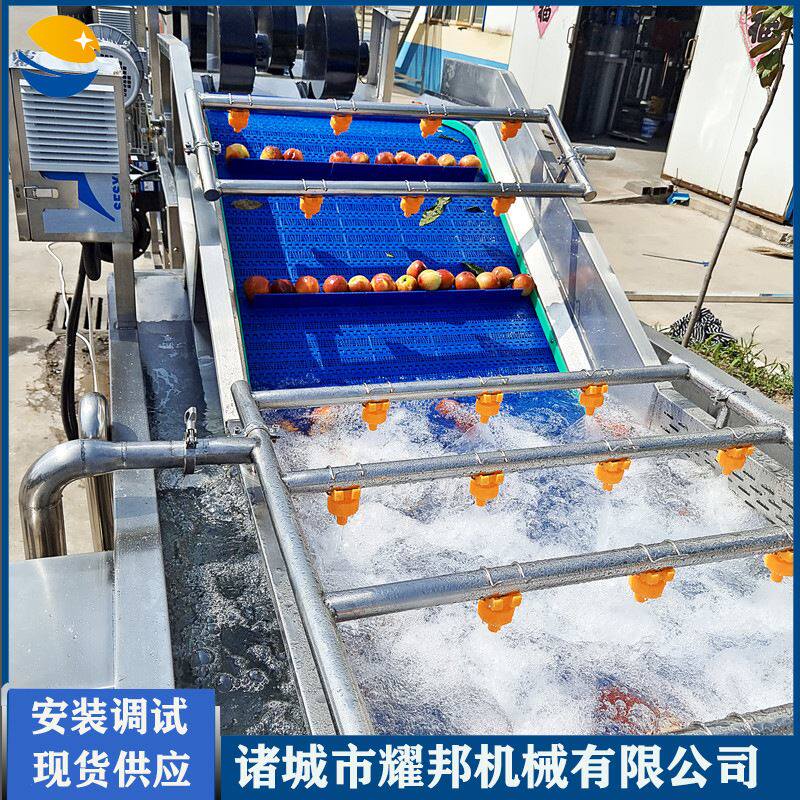 无花果清洗机 水果清洗设备 商用大型气泡全自动苹果洗果机