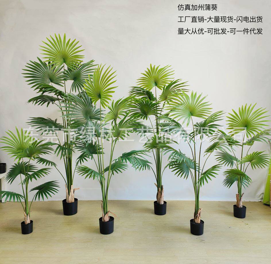 北欧热带加州蒲葵仿真绿植盆栽 客厅落地圆叶扇葵树绿植盆景摆件