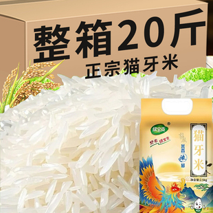 猫牙米大米2024年当季新米泰国香米长粒香炒饭专用丝苗官方旗舰店