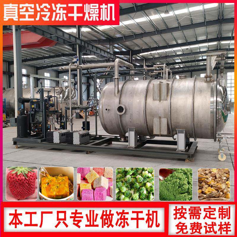 冷冻干柠燥机 苹果檬片茶真空冻干机EZF备 加工冻干粉设 脱水干燥