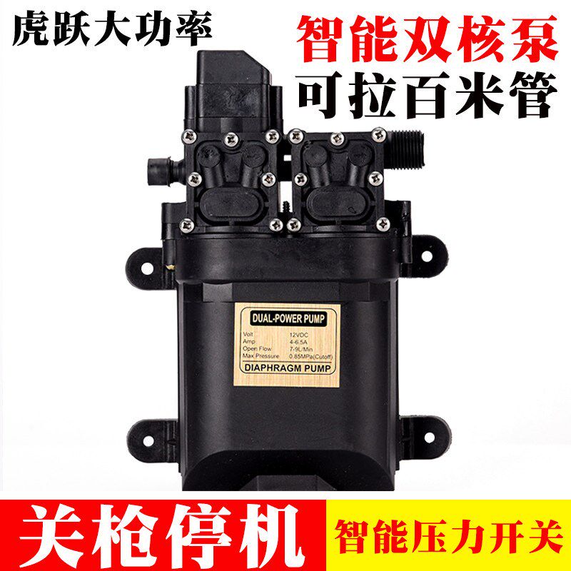 12伏智能压力开关12V关枪停机喷雾器洗车浇花果园苗圃撒药双水泵