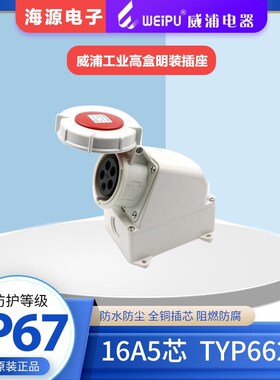 威浦WEIP防水航空插头工业高盒明装插座 TYP6624 16A5芯380V IP67