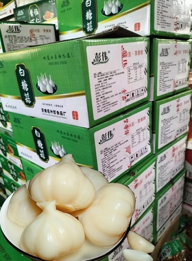 彭伟白糖蒜糖醋蒜伴饭菜下饭菜开胃菜10斤装腌制菜山东特产
