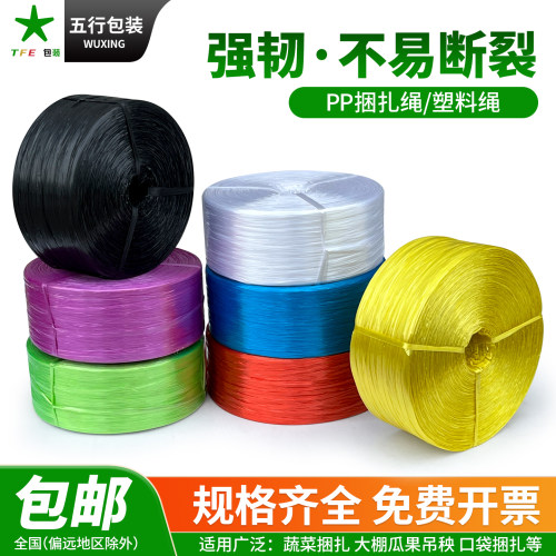 彩色捆扎绳塑料绳打包绳工厂直销