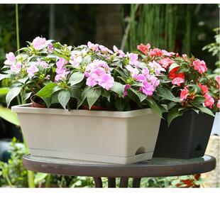 长盛直销长方形霍仑盆阳台种菜塑料长条花盆带托盘盆栽种植盆