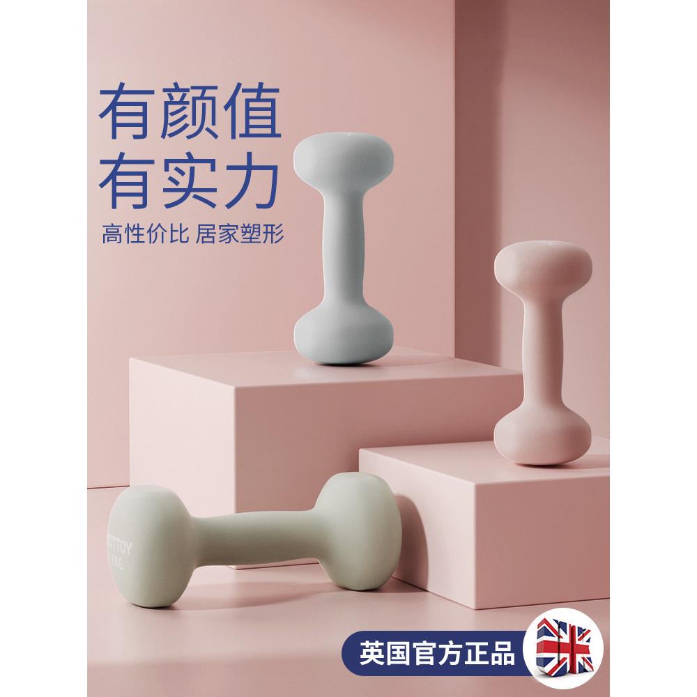 哑铃女士健身家用实心铁小哑铃力量训练器材初学者练臂肌亚铃