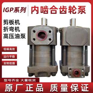 IGP3 H012内啮合齿轮泵高压油泵泵头