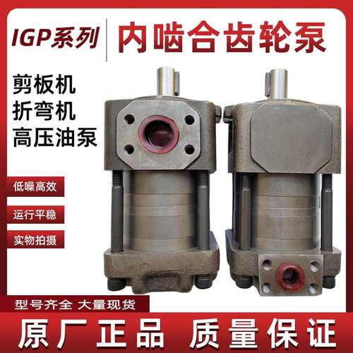 IGP3-H012内啮合齿轮泵高压油泵泵头