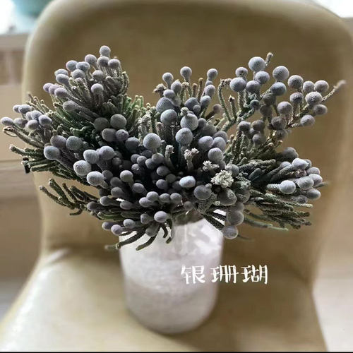 批发珊瑚果干花成品小花束花材珊瑚果样板间装饰画框装饰画