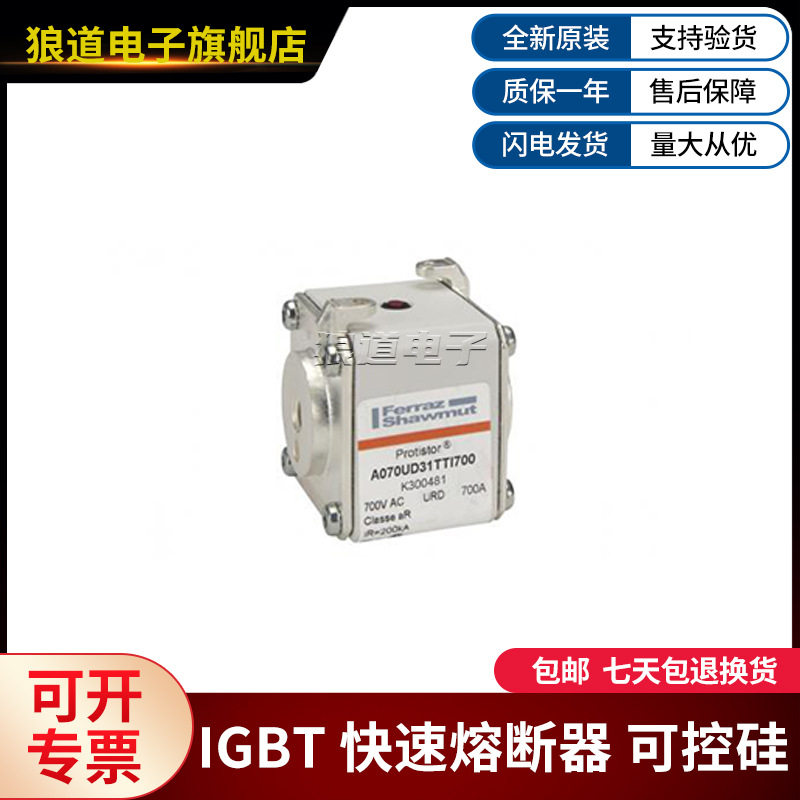 罗兰快速熔断器A070UD31TTI