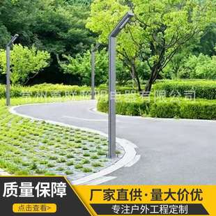 城市建设户外公园庭院灯led灯小区家用新农村灯高杆景观灯