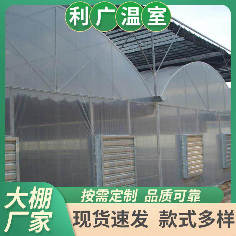 简易温室大棚建设温室简易内外遮阳连栋薄膜大棚