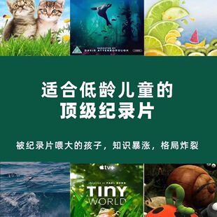 2025假期央推少儿中小学百科神级高清记录片星球人文历史地理素材