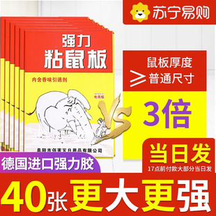 驱捕鼠神器2981 强力老鼠贴粘鼠板家用一窝端抓粘大老鼠粘鼠胶正品