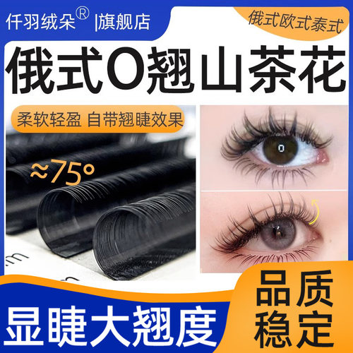 俄式O翘山茶花超翘超软不散根