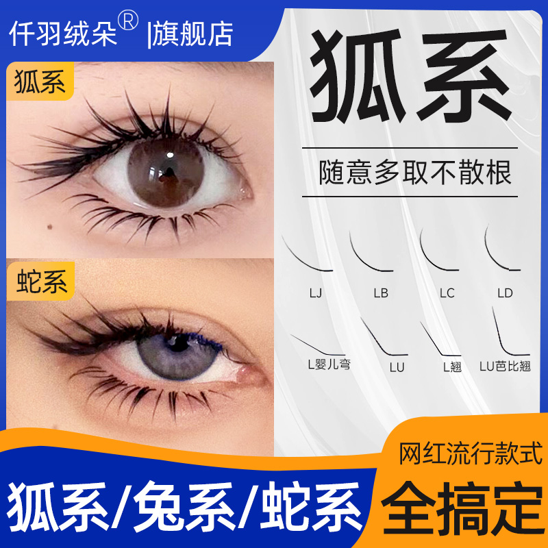 狐系睫毛LC山茶花多取不散根