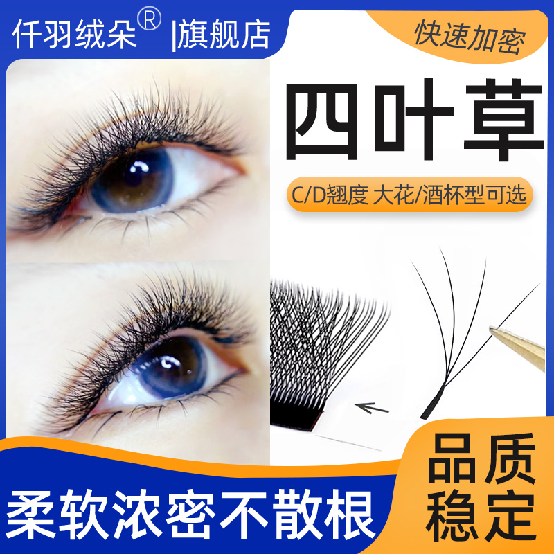 四叶草睫毛快速浓密嫁接不散根