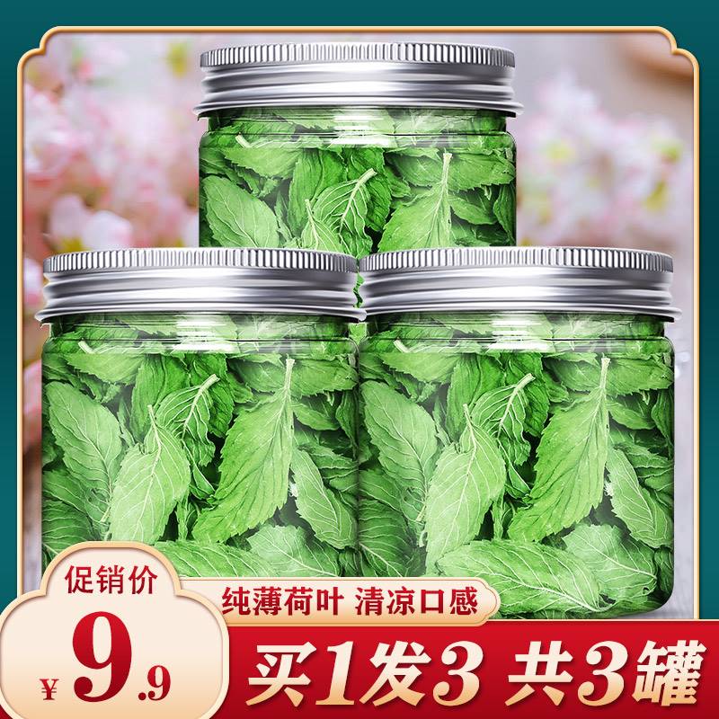 新鲜薄荷叶薄荷叶香娟图片