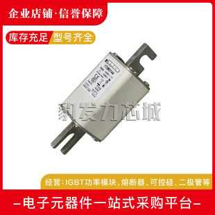 3011 3010 3012 3013 3015全新熔断器现货 170M3008 3014 3009