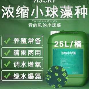 小球藻藻种浓缩藻种复合藻种肥水培藻增氧水产养殖小球藻种培养基