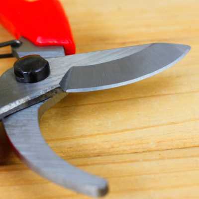 园林花艺剪子工具修剪树枝剪刀花剪园艺剪枝剪刀修枝剪果树不锈钢