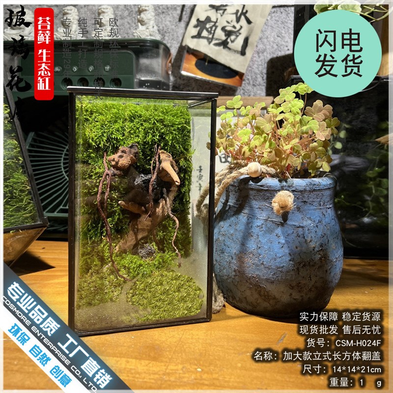 热销苔藓沉木微景观雨林缸生态z瓶造景几何玻璃花房创意植物盆景