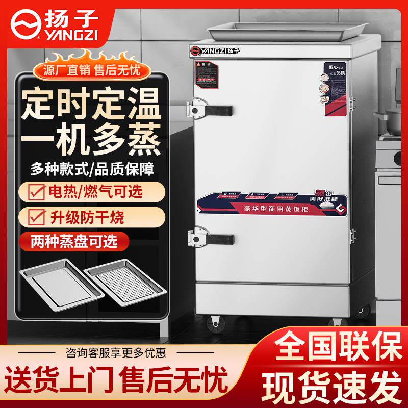 扬子蒸饭柜商用厨房食堂电蒸箱蒸馒头包子神器燃气蒸饭机蒸饭车炉