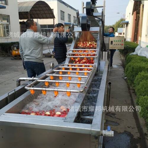 大型洗草莓机器 工厂用气泡式圣女果自动清洗风干设备 桃子清洗机