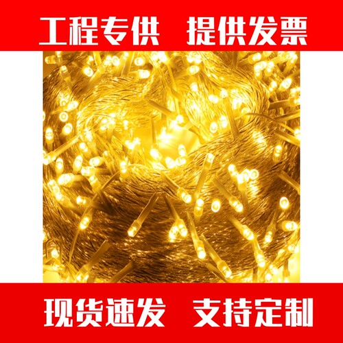 led彩灯闪灯串灯满天星装饰防水绕树天幕星星灯小米灯低压24v串。
