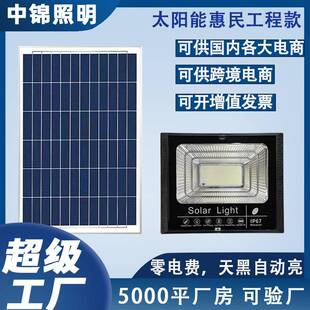 惠民款太阳能灯庭院灯中山实力厂家200瓦/300瓦/可定做加工