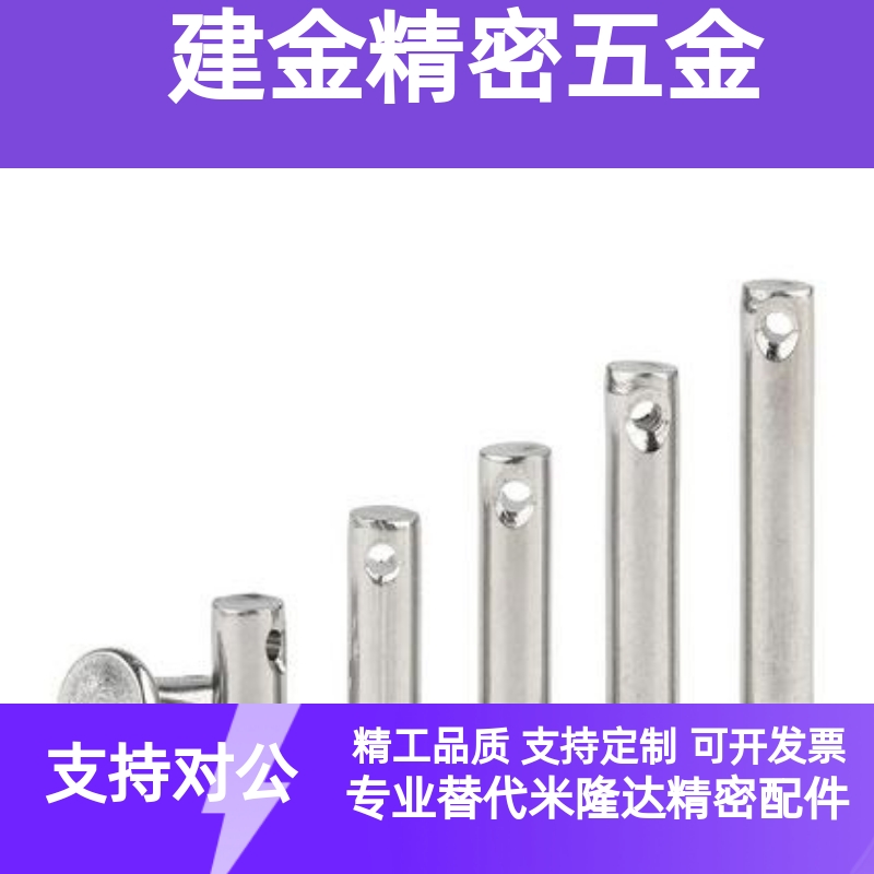 铰链销SHCMG SHCLGN SHCLGHN3 4 5 6 8 10 12-10 20 25 30 40 50