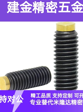 镶嵌黄铜挡块内六角止动螺丝SBCPS3-5/6/8/10/12/16/20