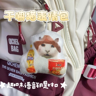 没经济没建模干嘛猫趣味表情包抽象送朋友礼品整蛊猎奇发声挂件