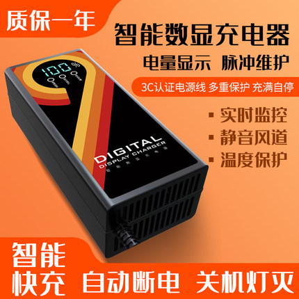全新原装电瓶动车48v60伏爱玛雅迪小刀天能72V超威电池数显充电器