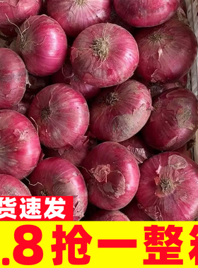 云南农家现挖水果小洋葱9斤装甜味生吃5紫皮圆葱头蔬菜新鲜农家