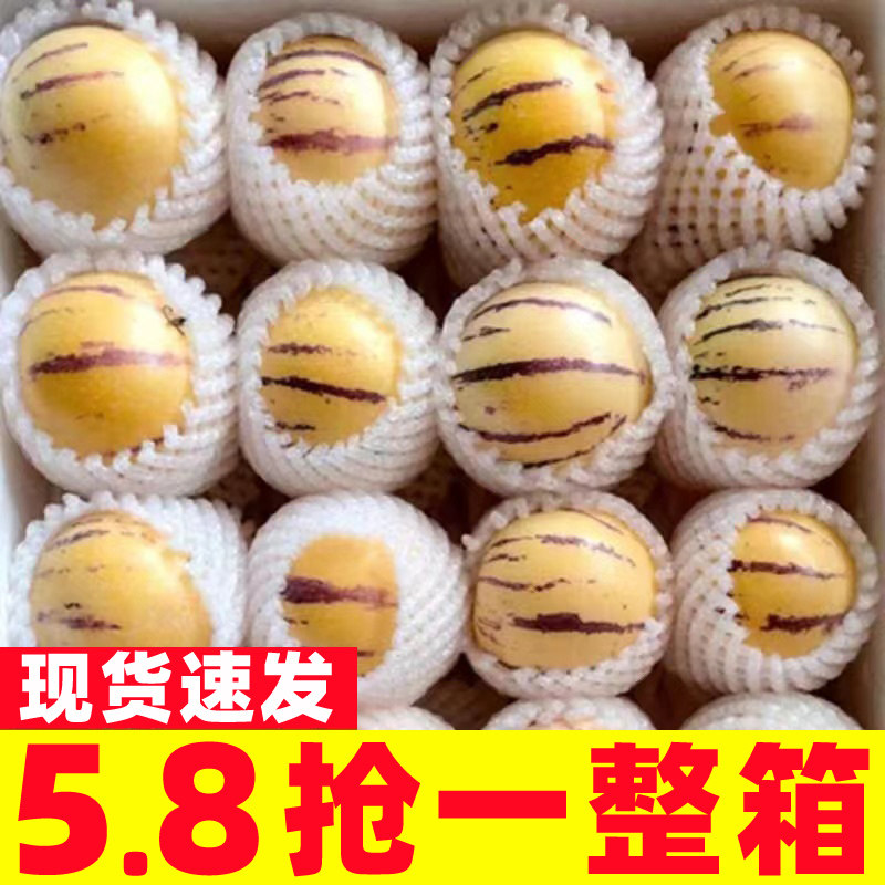 云南石林农家现摘现发黄肉人参果9斤新鲜水果圆果自然熟大果包邮
