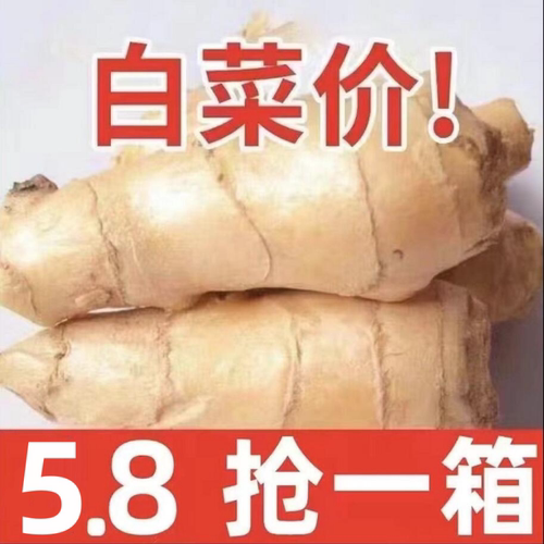 山东大姜5斤鲜生姜老姜新鲜