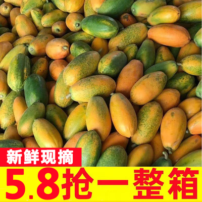 红心牛奶木瓜10斤新鲜