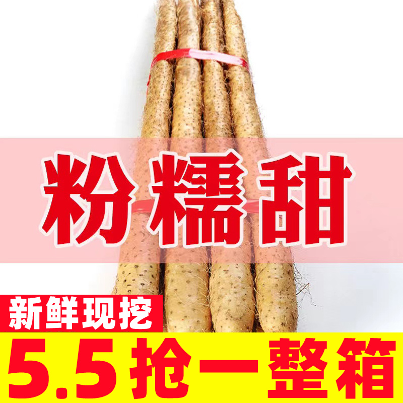 正宗铁棍山药非河南焦作温县铁杆淮山怀山药小白嘴新鲜5斤包邮
