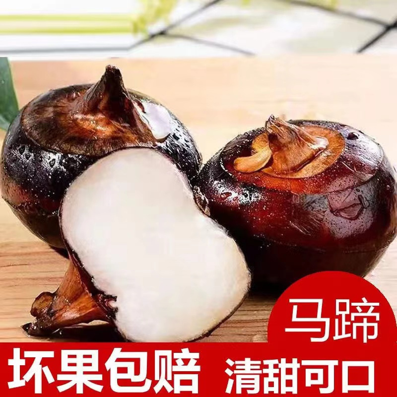马蹄新鲜现挖5斤荸荠带泥