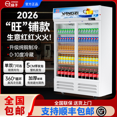 扬子单门啤酒饮料展示柜冷藏超市冰柜商用冰箱立式保鲜冷柜双门