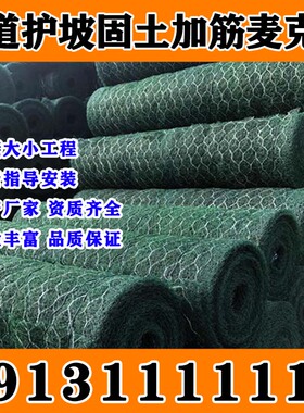 湖北绿色加筋麦克垫水土保护毯植被网植生垫河道生态护坡固土喷播