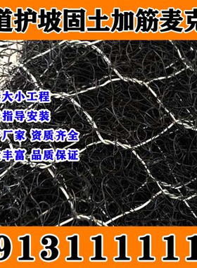甘肃绿色镀高尔凡加筋麦克垫 三维植被网 土工网垫护坡固土水土保
